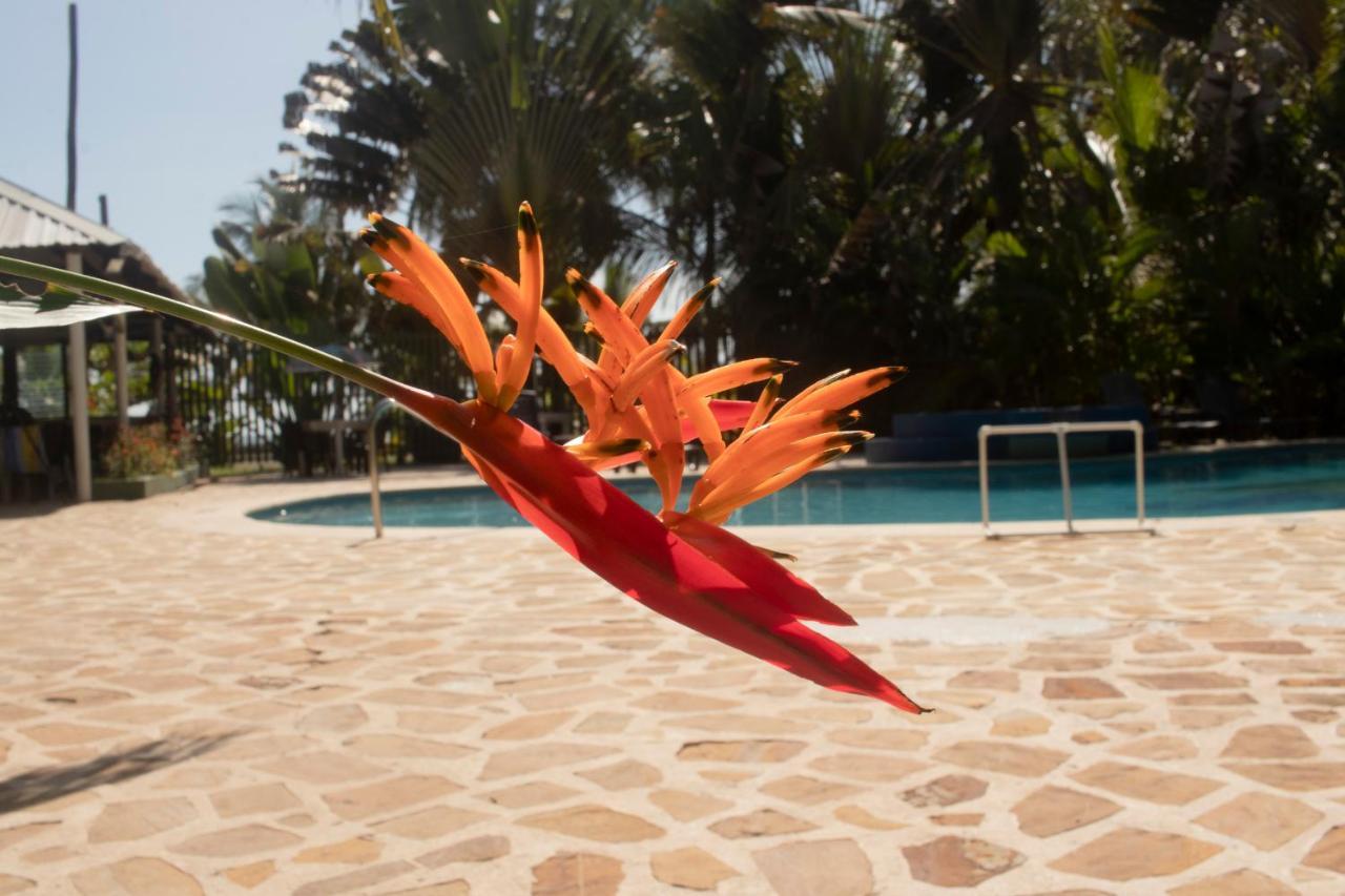 Hotel Playa Westfalia Puerto Limon Luaran gambar