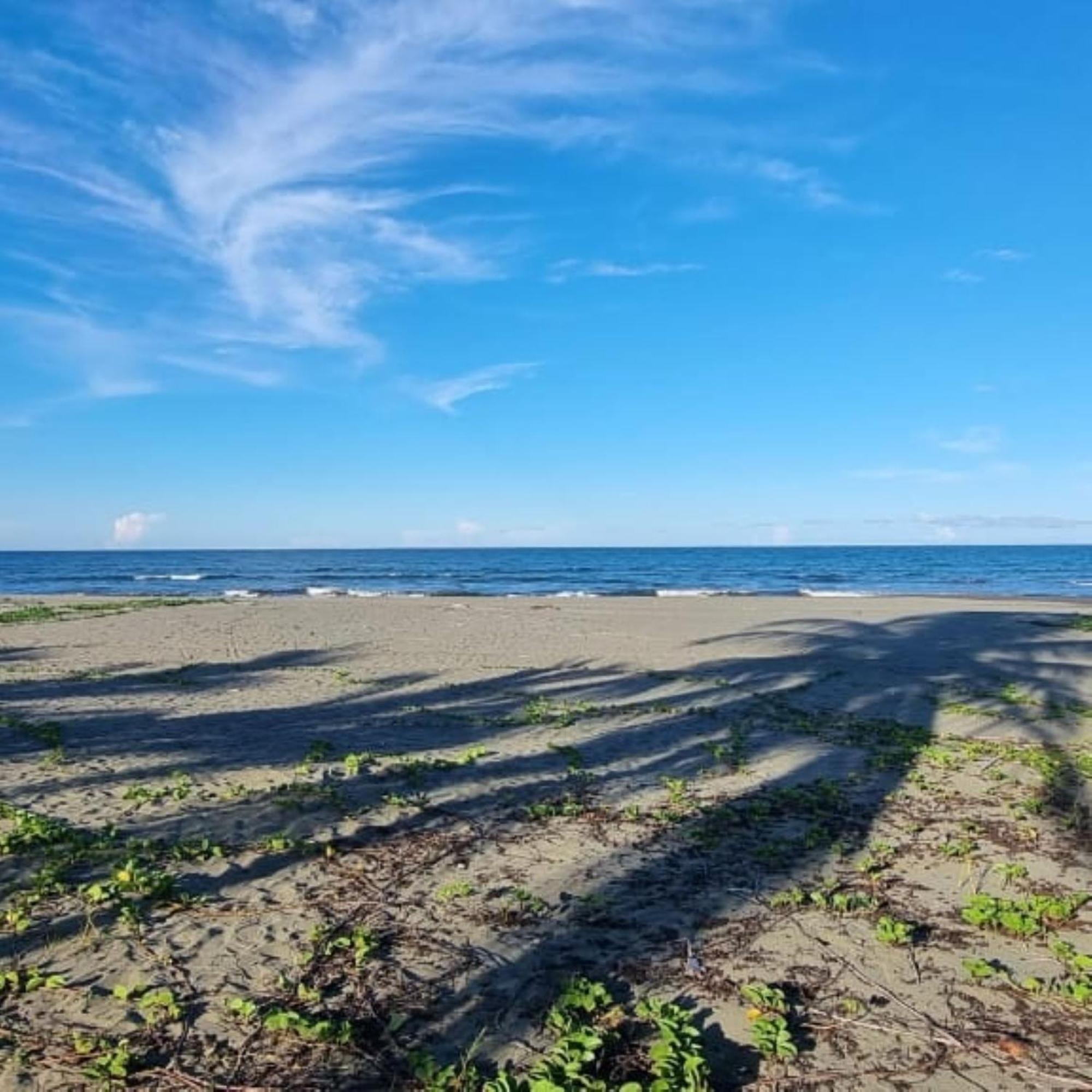 Hotel Playa Westfalia Puerto Limon Luaran gambar