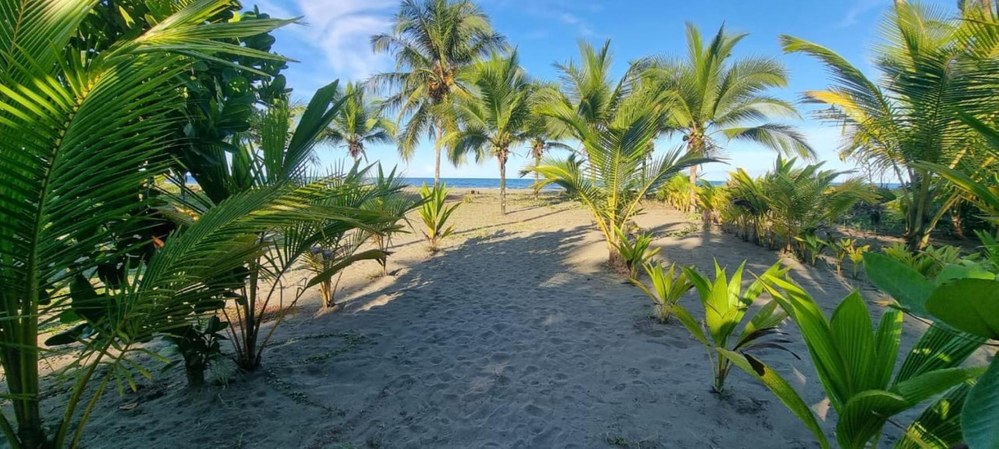 Hotel Playa Westfalia Puerto Limon Luaran gambar