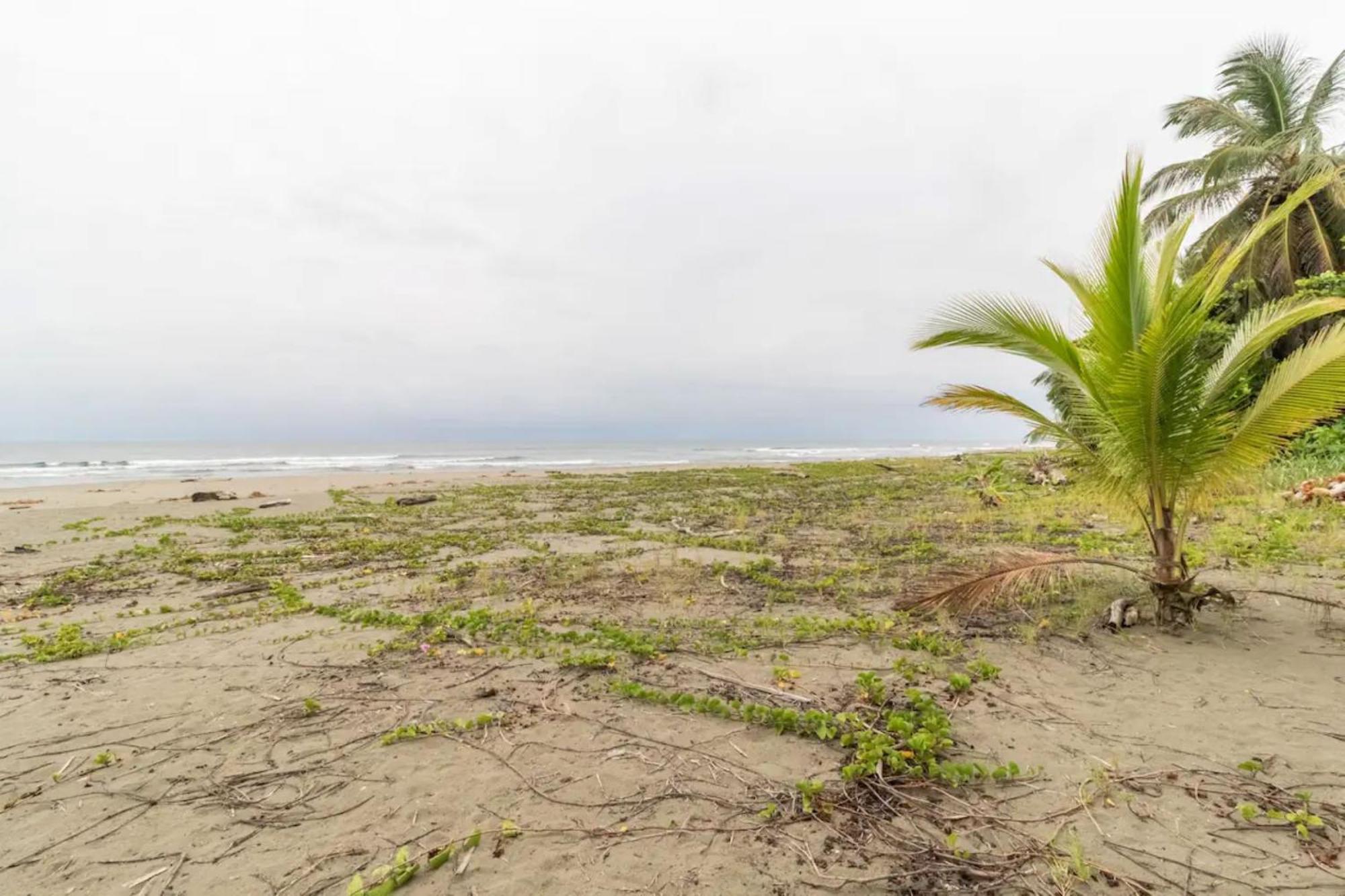 Hotel Playa Westfalia Puerto Limon Luaran gambar